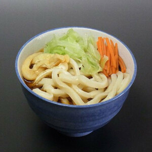  Yamanashi establishment Meiji 35 year [ flat . shop ] Yoshida. udon (2 portion )×5