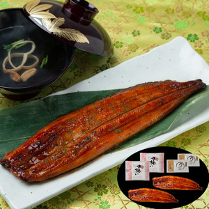 [ mountain road . eel place ] Miyazaki prefecture production ...2 tail total 240g(.. attaching )