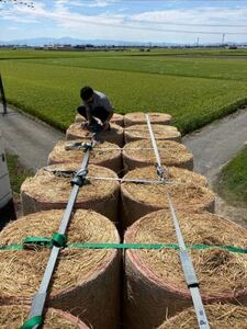 福岡県産　稲藁　いなわら　ロール　16個　約4400kg　飼料　牛　畜産　酪農　新藁　古藁　カット藁　秋藁　家畜　餌　エサ　国産　農業