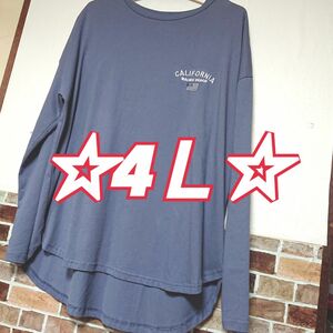 大きいサイズ★アメリカン★ 長袖Tシャツ バックプリント