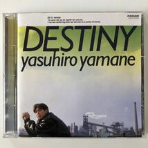 B26828　CD（中古）DESTINY～夢を追いかけて　山根康広_画像1