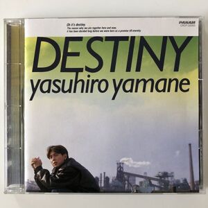 B26828　CD（中古）DESTINY～夢を追いかけて　山根康広