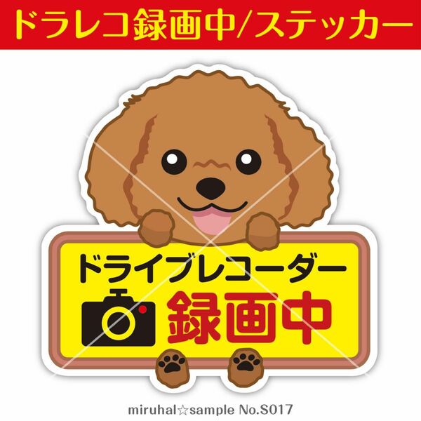 ドライブレコーダー ステッカー トイプードル 犬 煽り運転 録画中 車 カメラ