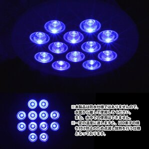 アクアリウム 電球 12 LED 青12 水槽 用 24W スポット ライト E26 口金 照明 交換 植物育成 水草 サンゴ 熱帯魚 照射角90度の画像4