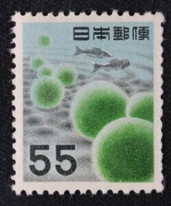 ☆コレクターの出品 第２次動植物国宝切手『マリモ』５５円 ＮＨ美品 F-72