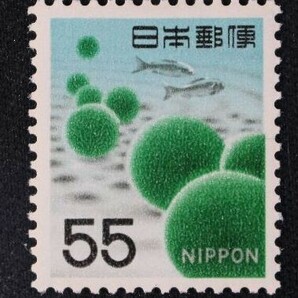 ☆コレクターの出品 新動植物国宝図案切手『マリモ』５５円 ＮＨ美品 B-13の画像1