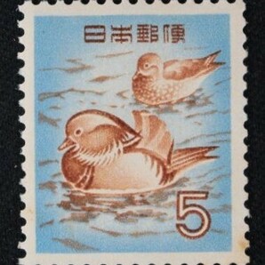 ☆コレクターの出品 第２次動植物国宝切手『オシドリ』５円 ＮＨ美品 F-51の画像1