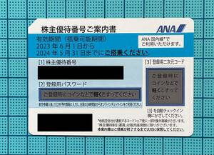 ※ ＡＮＡ 全日空 株主優待券 2024年5月31日まで 1枚 番号通知のみ ※