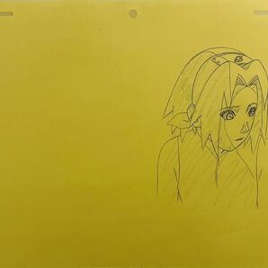 ナルト NARUTO サクラ 原画13枚セットの画像4