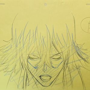 ブリーチ Bleach 原画13枚セットの画像9