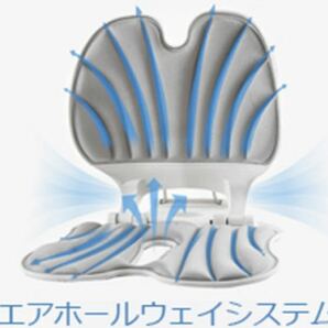 2A01d0M 2点セット姿勢矯正クッション オフィスチェア 座椅子 座布団 バランスチェア 骨盤矯正チェア 姿勢サポートチェア 折り畳み収納可能の画像8