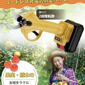 2A09z4O 園芸用はさみ 電動剪定はさみ 剪定バサミ 充電式剪定バサミ バッテリー2個 手袋&収納ケース付き.の画像3