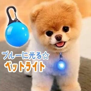 犬 ライト 首輪 リード 子ども ペット LED セーフティ ライト 散歩 ブルー　ブルー