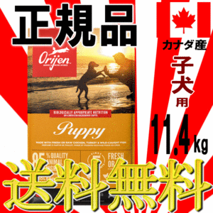 ■ 23999 Yen ~ ■ БЕСПЛАТНАЯ ДОСТАВКА! [Происхождение щетки для собак] щенки.