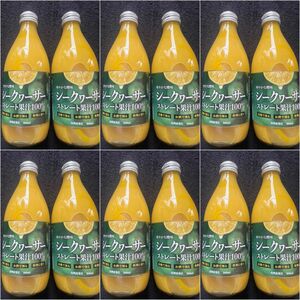 新品◆12本セット　シークヮーサー ストレート果汁シークワーサー◆B-797
