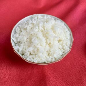 コシヒカリ お米 玄米25kg 令和5年栃木県産1等米 新米の画像3