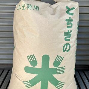 コシヒカリ お米 玄米25kg 令和5年栃木県産1等米 新米の画像1