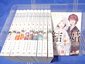 ●【アニメ化】結婚するって本当ですか 全11巻 若木民喜【ドラマ作品】小学館 ビッグスピリッツコミックス