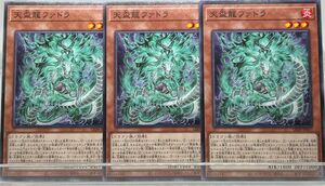 B11 遊戯王 天盃龍ファドラ ×3