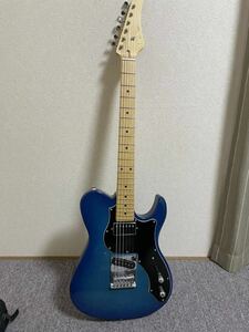  Fujigen BIL2-M-HS/TBS/02 Telecaster beautiful goods 