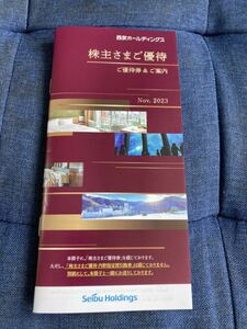 西武ホールディングス 株主優待券冊子(冊子のみ、内野指定席・乗車証なし）1000株以上冊子