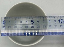 y1022TT 茶碗蒸し 陶器製 碗 5客 5客組 竹模様 竹 林 笹 染付 茶碗 蒸し器 セット 茶わん蒸し 食器 陶器 器 椀 皿_画像6