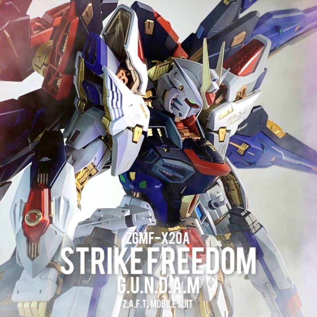 Окрашенный готовый продукт MGEX 1/100 Strike Freedom Gundam, характер, Гандам, Готовый продукт