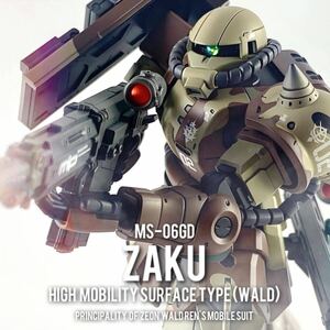 HG 1/144 高機動型ザク地上用　ウォルド機　塗装済完成品