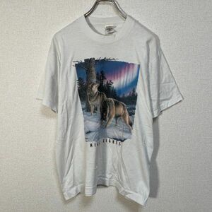 フルーツオブザルーム USA製半袖Tシャツ アニマル　オオカミ　ホワイト　雪山F9 古着　入手困難　人気　ボタニカル　アート　アメリカ製