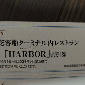 最新ゆうパケット込!東海汽船 株主優待券(株主乗船割引券)6枚＋おまけ色々 2024年4月から9月迄 の画像8