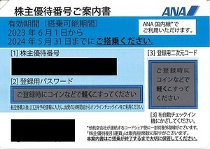 ANA 株主優待券 1枚(通知のみ) 2024年5月末日まで