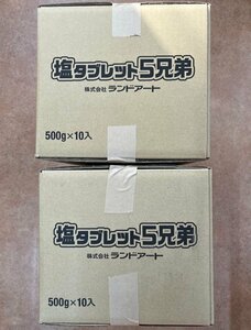 送料無料 2024年入荷分★ランドアート 塩タブレット5兄弟(185粒)2ケースまとめて 20袋入り 3700粒★！！熱中症対策 塩分補給