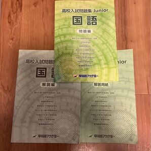 早稲アカ 高校入試問題集 Junior 国語