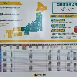 千葉県バキバキ柄 66センチ ギセラ タンザニア便直輸入記念 タンガニーカ湖 ワイルド タンザニア便 66センチ前後 キランドの画像7