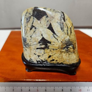 岐阜県 根尾産 菊花石 緑母岩黄金花(高さ１８cm 重さ２６６５g)と２輪の菊花石(高さ7.5cm 重さ２20g)２個セットです。の画像8