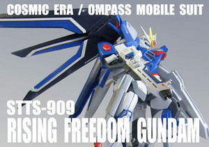 HGCE 1/144　 STTS-909　ライジングフリーダム ガンダム【 塗装完成品 】/ 劇場版 機動戦士ガンダムSEED FREEDOM / バンダイナムコ