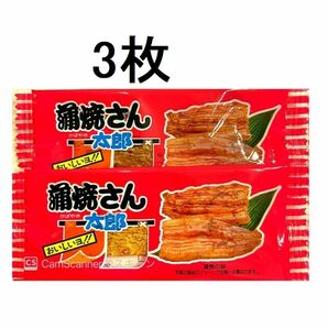 1品のみ 3枚セット 1円 送料無料 プレゼント 1人1回のみ 蒲焼さん太郎 菓子 駄菓子 お菓子 スナック 賞味期限 24年8月18日までの画像1