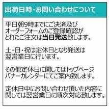 ◆未開封CD+DVD★『男性アイドル大集合 シングルCD 20枚セット』タッキー＆翼 V6 関ジャニ 中山優馬 NYC A.B.C-Z 諸星和己 赤西仁★1円_画像5