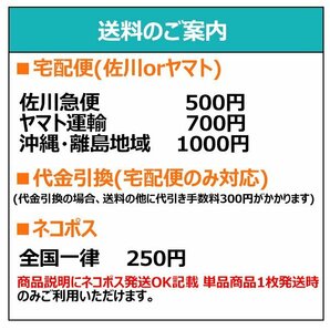 ◆訳あり新品CD★『 シングルCD アニメ 劇場版 色々100本set』河野マリナ いとうかなこ 前野智昭 井口裕香 栗林みな実 LiSA 南条綾乃★1円の画像4