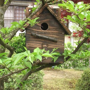 三角屋根 巣箱 お宿の画像2