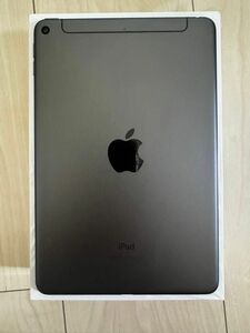 【極美品】iPad mini 第5世代　wifi+cellularモデル　256GB スペースグレイ