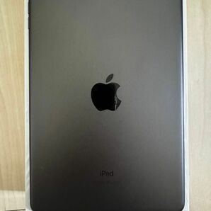 【極美品】iPad mini 第5世代　wifi+cellularモデル　256GB スペースグレイ