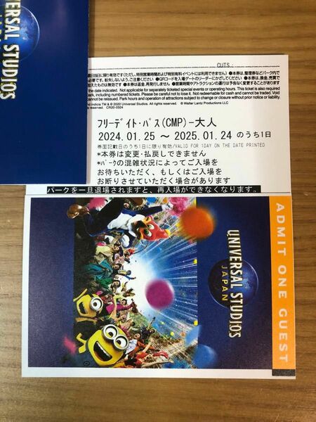 ◆ ユニバーサルスタジオジャパン　USJ チケット2枚　ペア