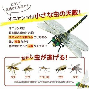 激安→オニヤンマ トンボ 安全ピン付き 昆虫 動物 虫除け おにやんま 蜻蛉 模型 家 おもちゃ PVC インテリア★3個の画像3