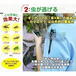 家族みんな★オニヤンマ おにやんま／キャンプ BBQ 虫除け 害虫 虫刺され 防虫 害虫駆除君 人気 キャンプ野外活動用 12cm→ 5匹の画像5