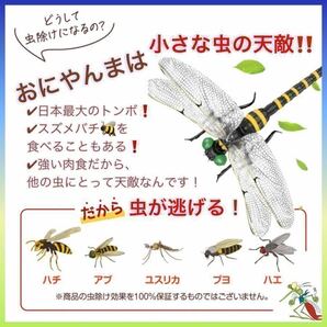 超リアル12cmおにやんま／オニヤンマ キャンプ 虫除け 害虫 虫刺され 防虫 害虫駆除君 キャンプ野外活動用 → 4個の画像3