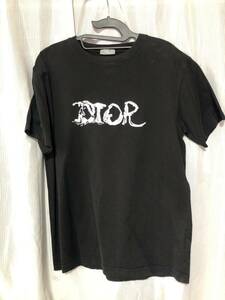  Dior DIOR # 21AW DIOR Peter doig embroidery Logo T-shirt 