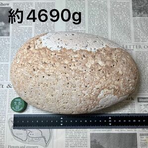姫川薬石　多孔質　約4690g 糸魚川産