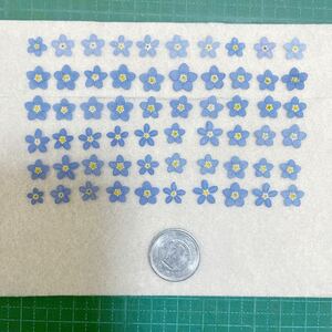  pressed flower material. myosotis 60 sheets 