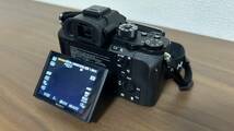 SONY ソニー α7S II ボディ ILCE-7SM2 バッテリー４個　縦位置グリップVG-C2EM　セット_画像7